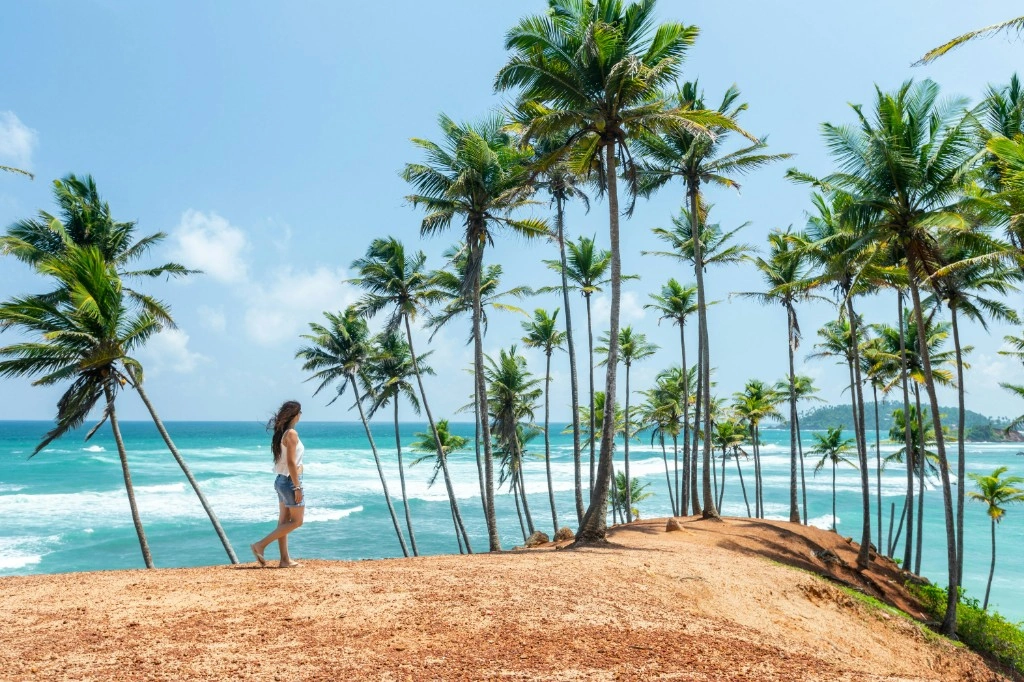 Palm-fringed coconut coast and sandy shoreline in Sri Lanka